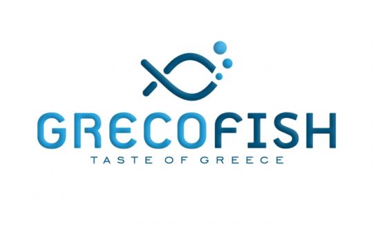 Λογότυπο σχεδιασμός εταιρική ταυτότητα – Γραφίστας δημιουργία λογοτύπου 6
